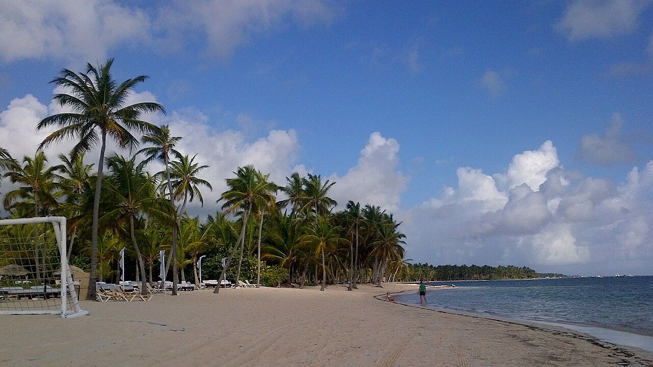 Palm-lined beach in Punta Cana